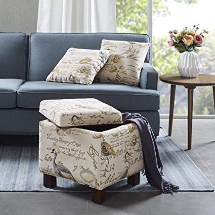 Madison Park FPF18-0046 Shelley Square Storage Ottoman with Pillows