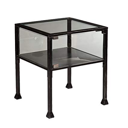Southern Enterprises Terrarium Display End Table with Silver Distressing in Black